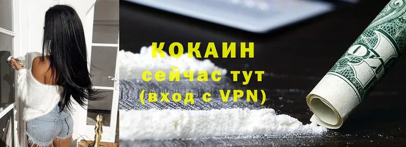 Cocaine FishScale  купить  цена  Новотроицк 